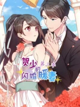 贺少的闪婚暖妻 动态漫第三季